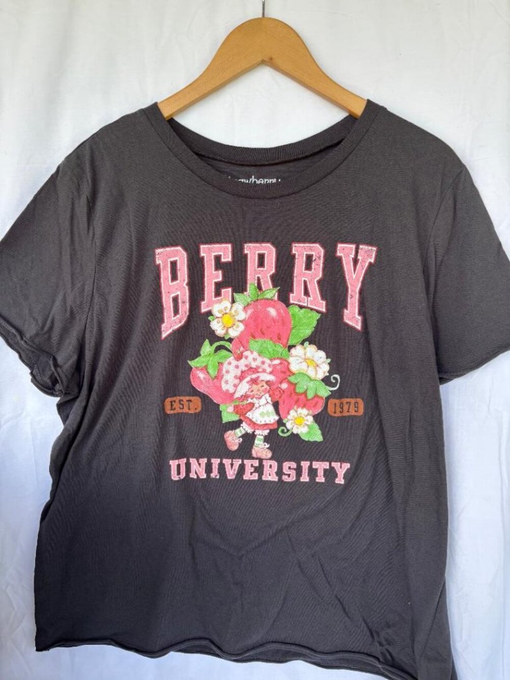 Strawberry Shortcake (2024) Sz 3X black tee shirt  Preowned